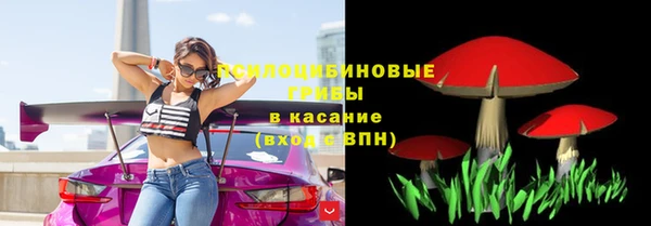 марихуана Абаза