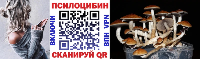 дарк нет телеграм  Оханск  Галлюциногенные грибы мицелий 